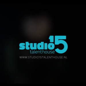 logo en website studio15